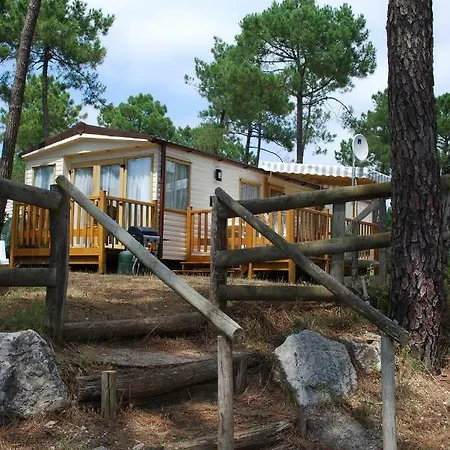 Bonne Anse Plage La Palmyre Exterior foto